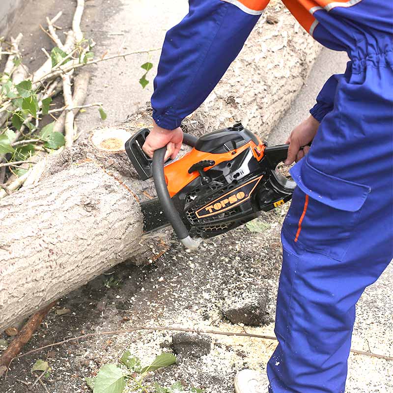 Brush Saw for sale in Zambia